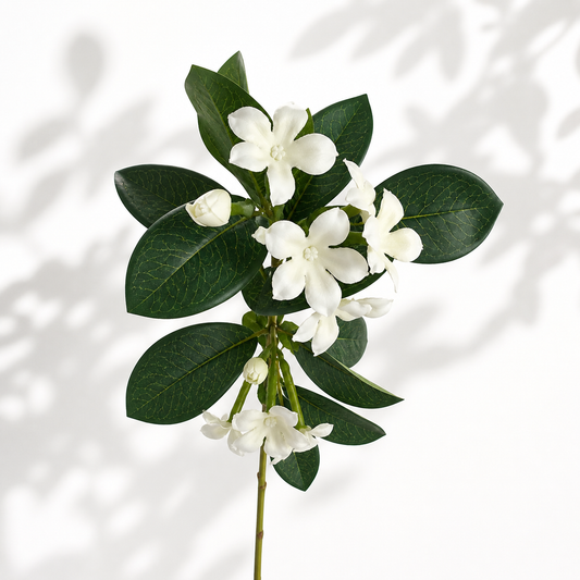 Jasmine Flower Stem