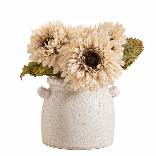 Neutral Gerbera Bunch