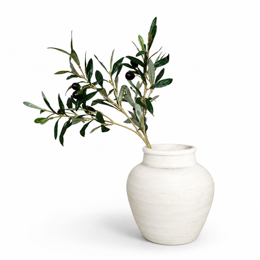 Premium Olive Stem