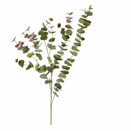 Eucalyptus Blush Tones