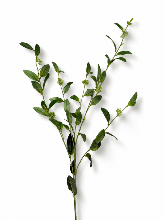 Seeded Foliage Stem