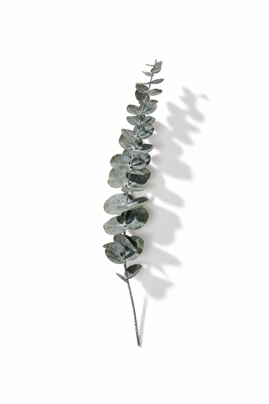 Eucalyptus Grey Bunch