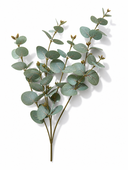 Eucalyptus Earthy Tones