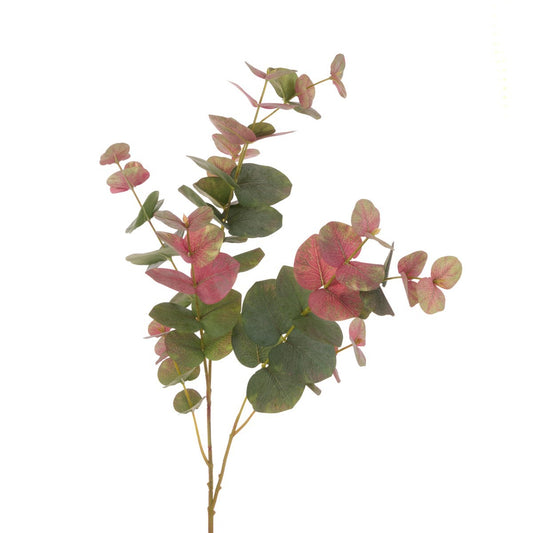 Eucalyptus Blush Tones