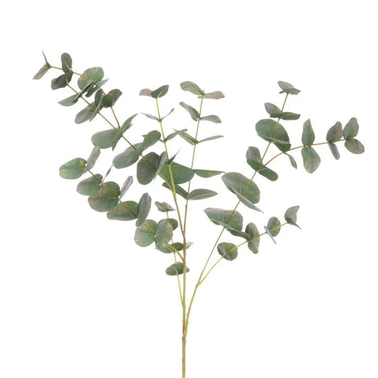 Eucalyptus Natural Tones