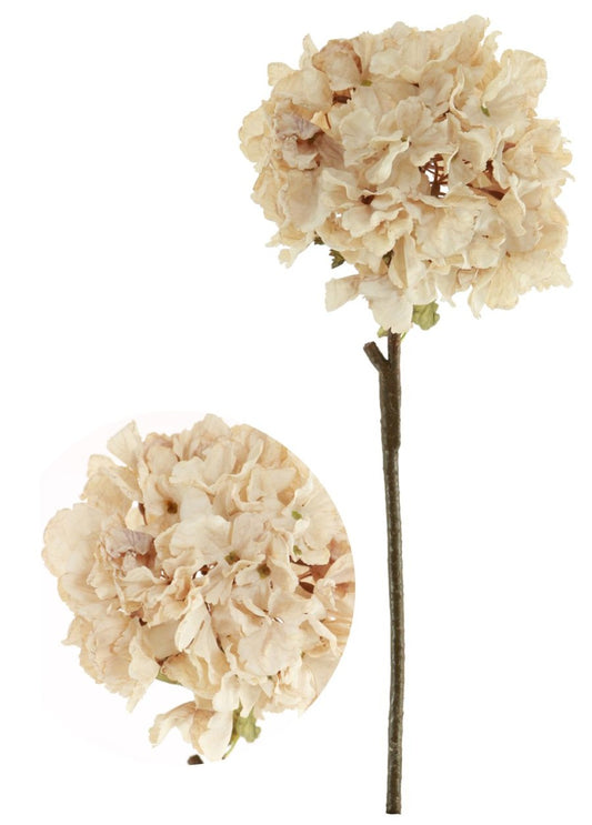 Preserved Look Neutral Hydrangea