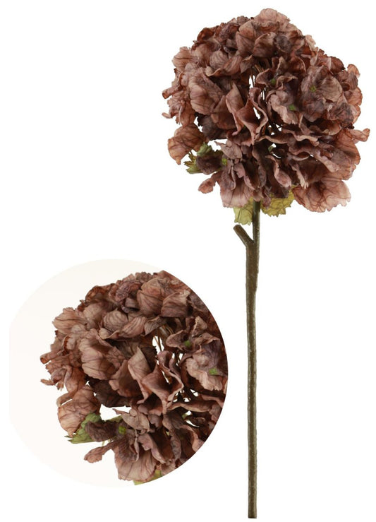 Preserved Look Mocha Hydrangea