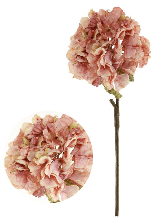 Preserved Look Blush Hydrangea