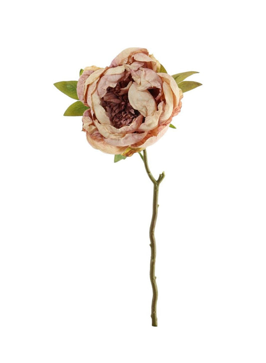 Preserved Look Blush Peony