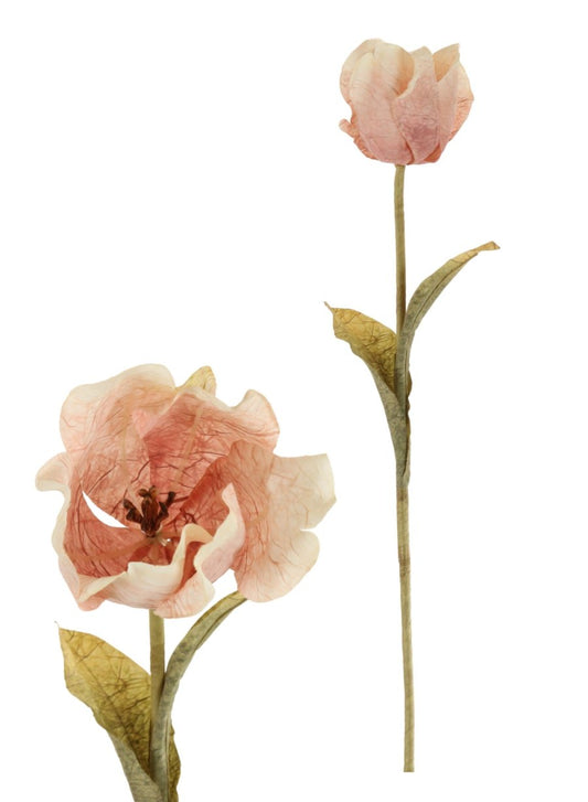 Preserved Look Blush Tulip